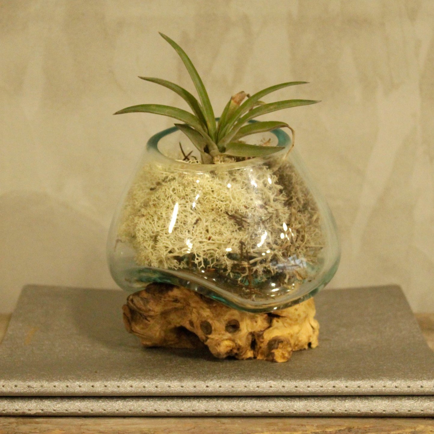 Molten Glass on Wood – Small Bowl