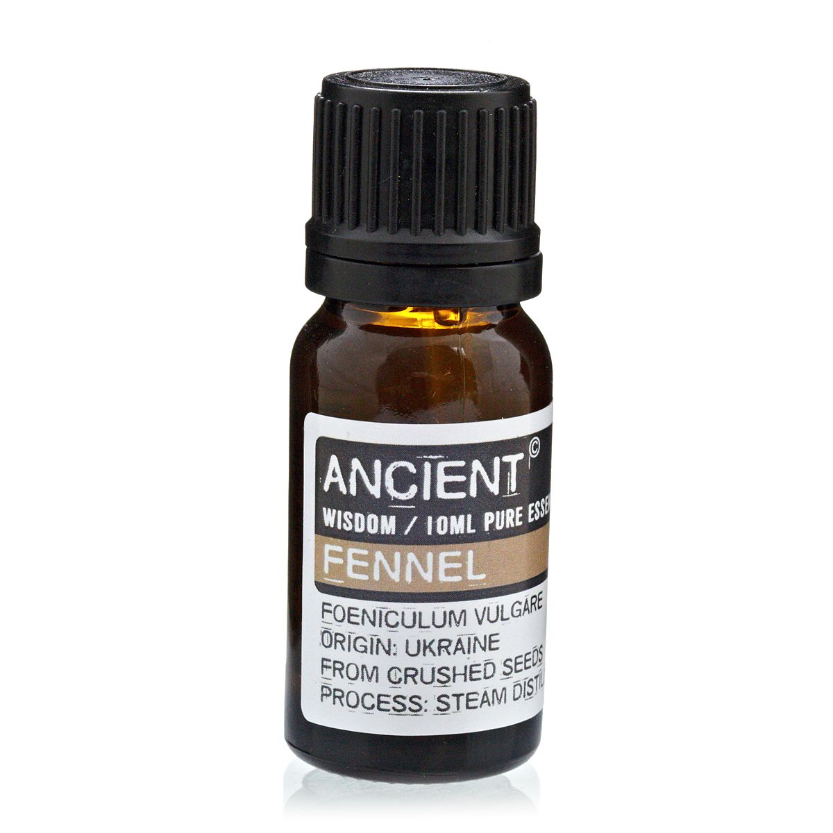 Alt-Tag: Fenchel-Ätherisches Öl – 10-ml-Braunglasflasche mit schwarzem Verschluss, reines ätherisches Öl aus zerstoßenen Fenchelsamen, dampfdestilliert