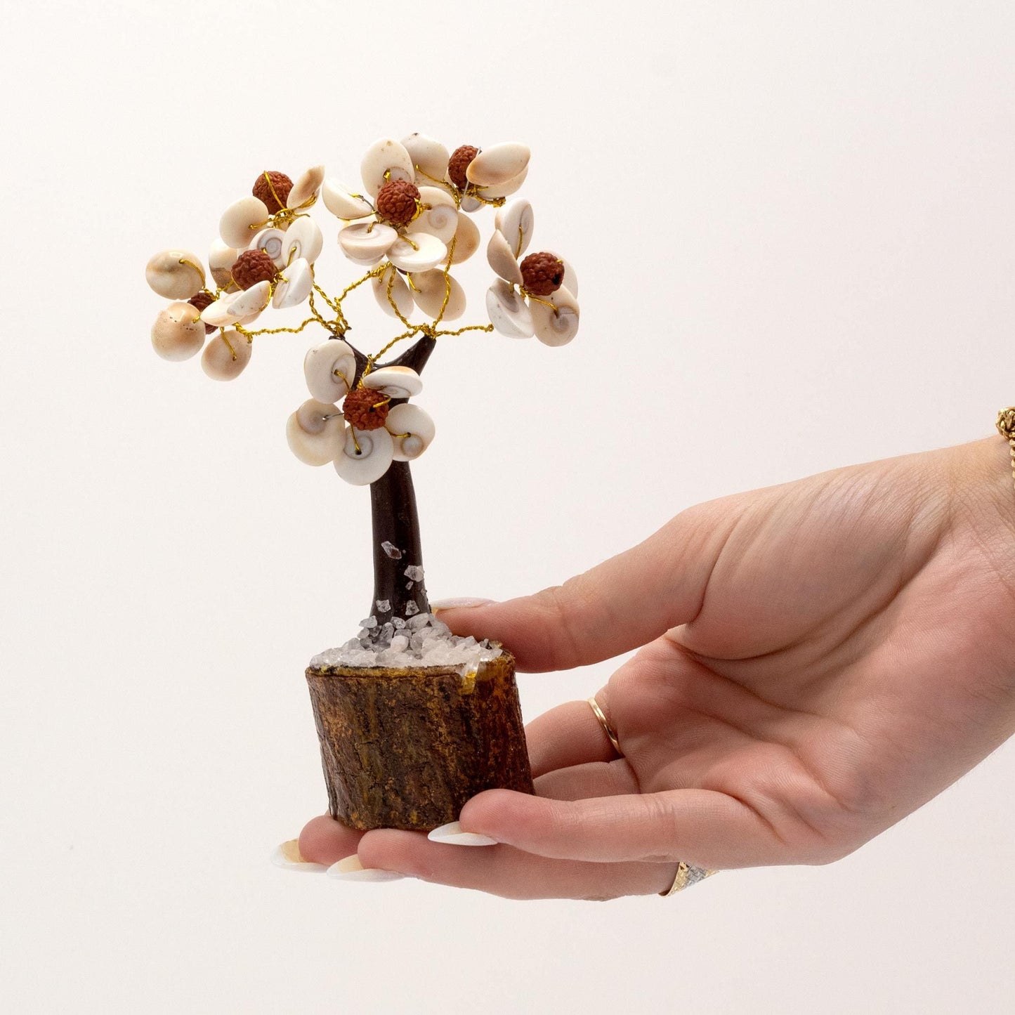 Gemstone Gomati Chakra Stone Tree – Medium (45 Stones) handcrafted décor with Gomati Chakra stones, Rudraksha beads, on wooden base