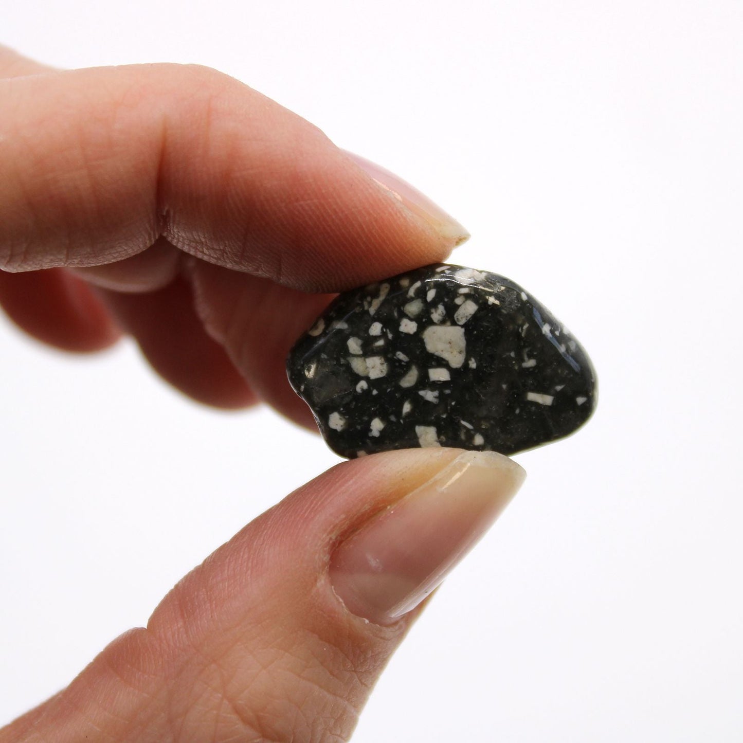 Gemstone Tumble Stones – Guinea Fowl Edition, small black and white speckled African gemstone tumble stone held between fingers