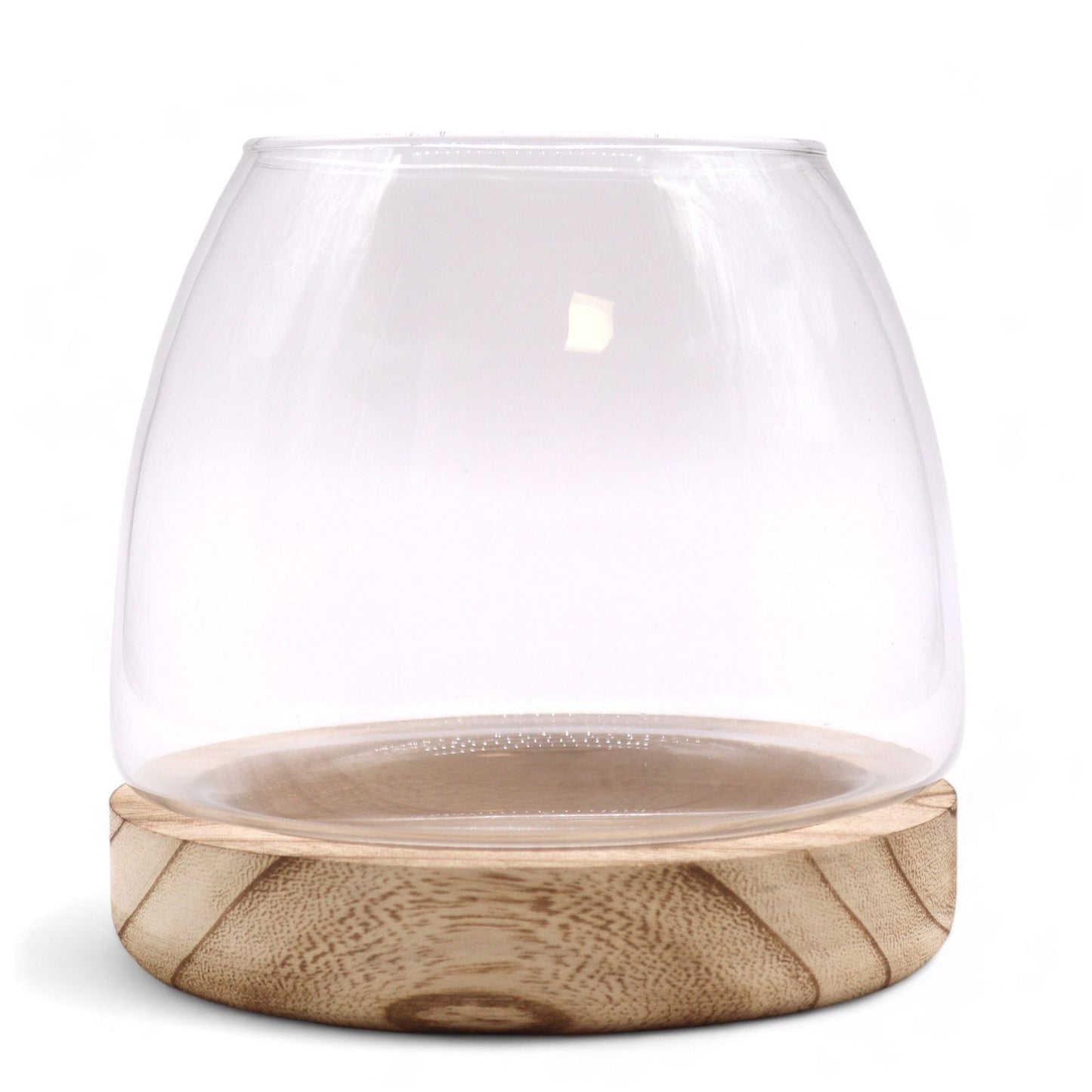 Natural Tung Wood Glass Terrarium – 15x15 CM, clear glass bowl terrarium with natural tung wood base for plants and home decor