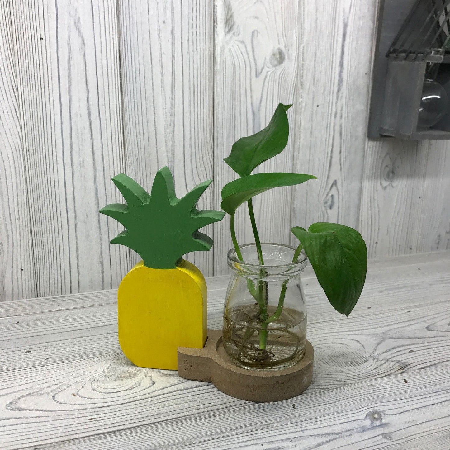 Recycled Wood Hydroponic Pot – 15x14x6 CM, maceta hidropónica de madera reciclada y vidrio con planta en agua, decoración para interior