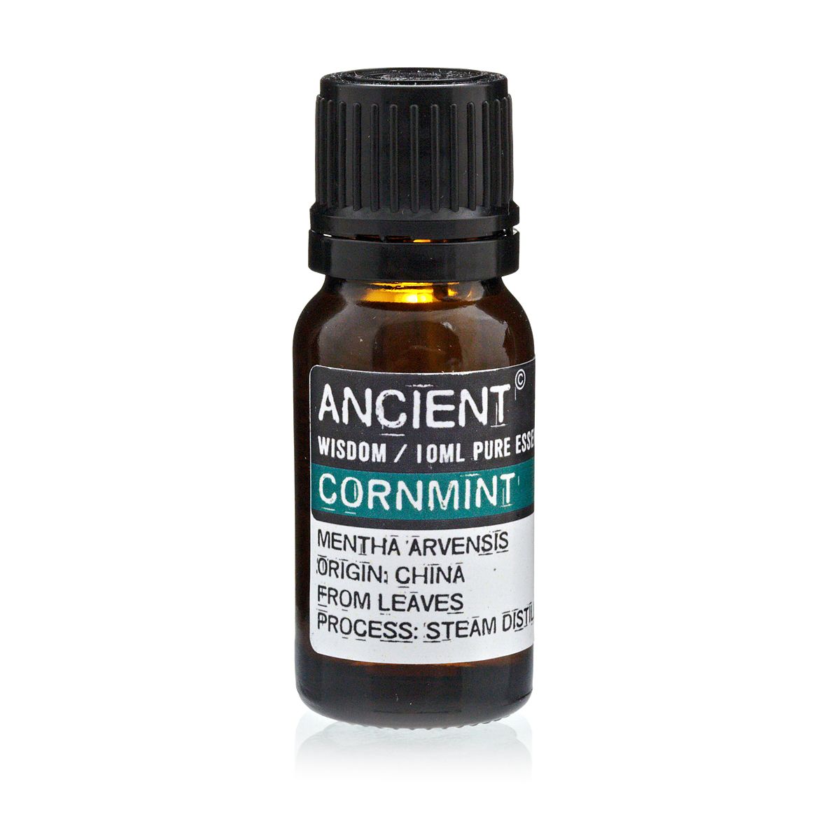 Alt Tag: Revitalizing Cornmint Essential Oil – 10 ML amber glass bottle with black cap, cornmint (Mentha arvensis) steam-distilled leaves