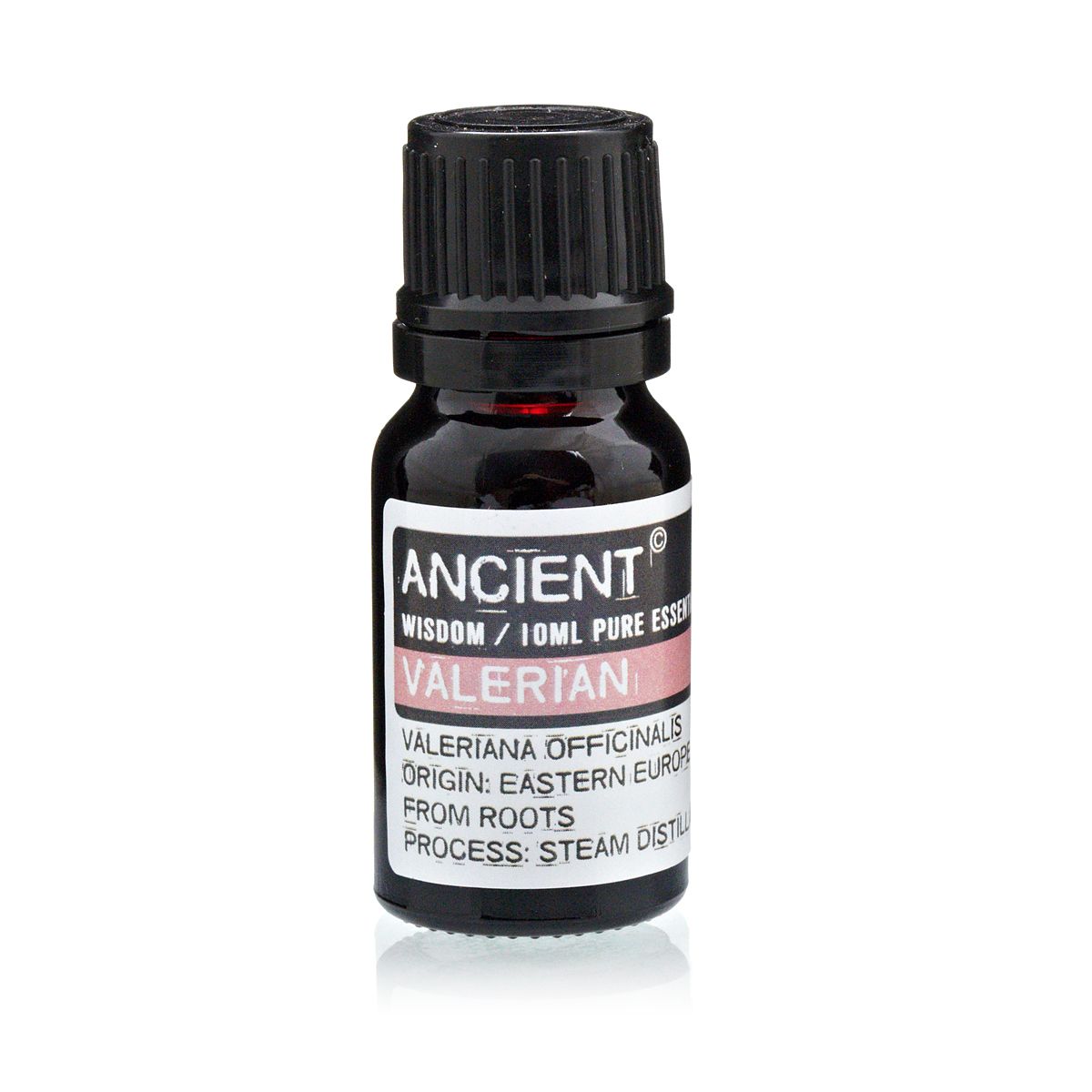 Alt Tag: Valerian Essential Oil – 10 ML botella de aceite esencial de valeriana 10 ml, Valeriana officinalis, origen Europa del Este, destilación al vapor