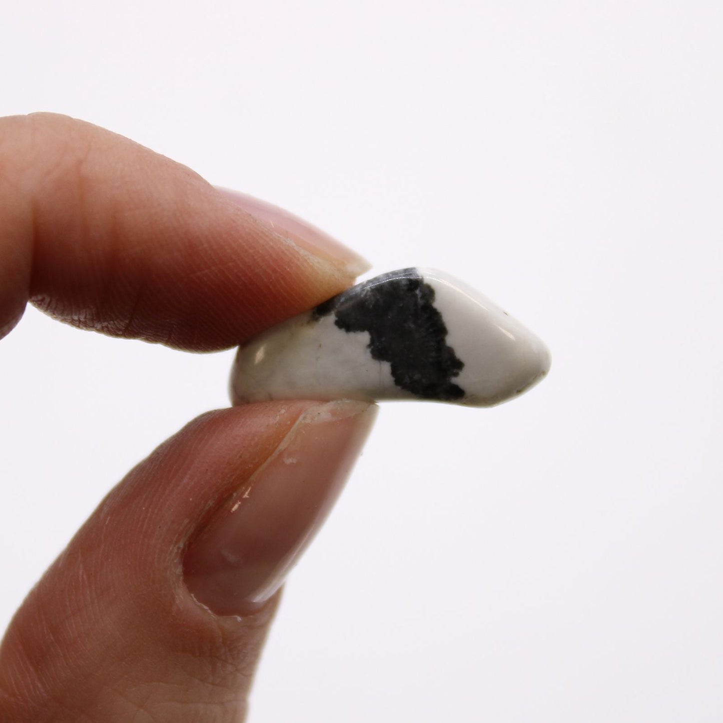 Alt Tag: White Howlite Magnesite Stones – 24-Piece Bag, close-up of a small tumbled white stone with black veining held between fingers