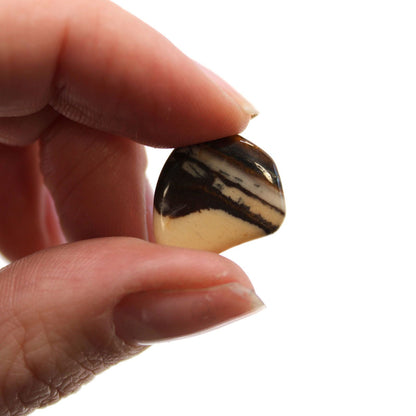 Gemstone Tumble Stones – African Nguni Set polished striped gemstone held between fingers close-up
