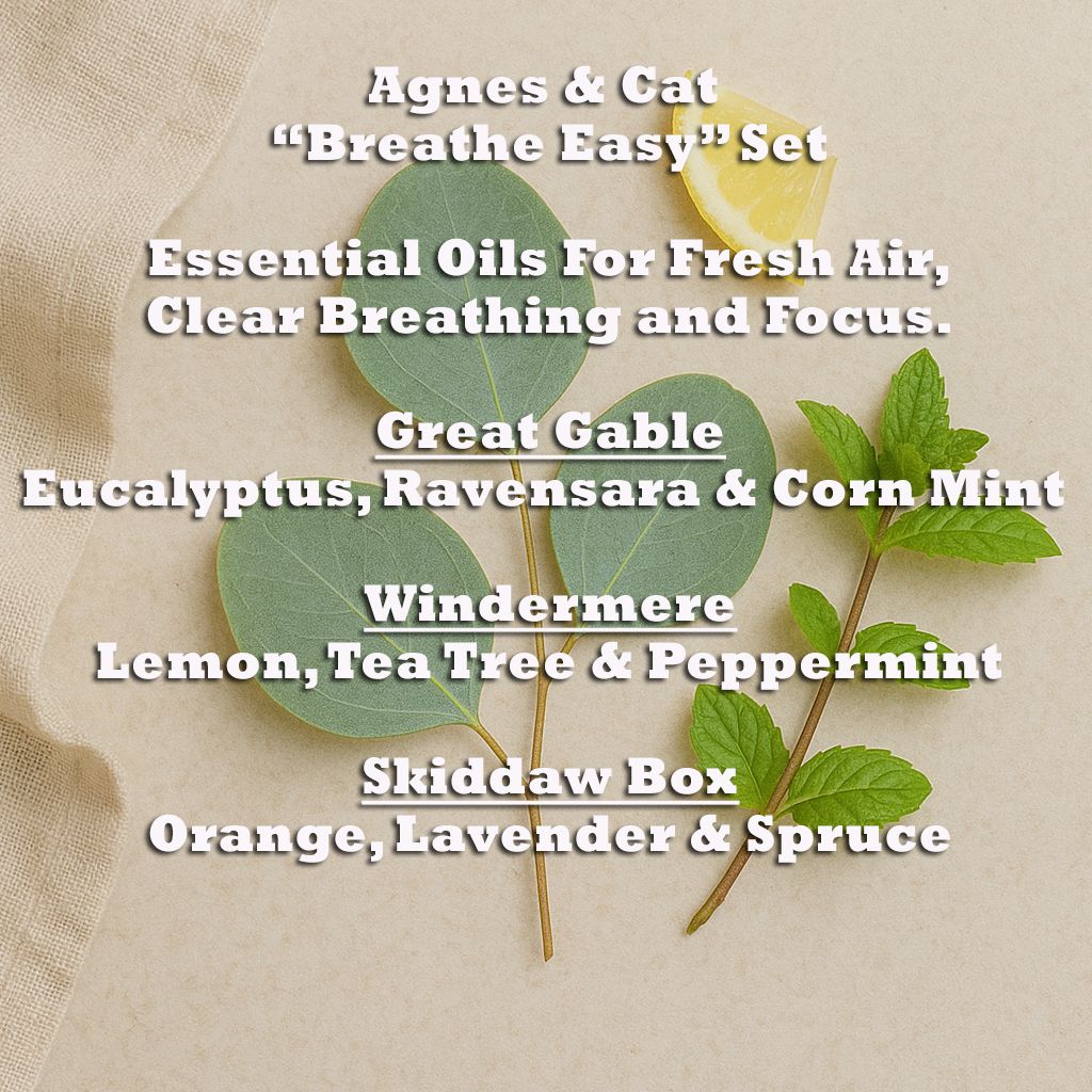 Alt Tagg: Agnes & Cat – Breathe Easy Set med 3 eteriska oljeblandningar med tre blandningar: Great Gable, Windermere och Skiddaw Box