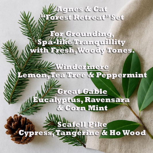 Forest Retreat Essential Oil Blends – Set of 3 set image with woodland botanicals and pinecone; grounding spa-like tranquility, fresh woody tones