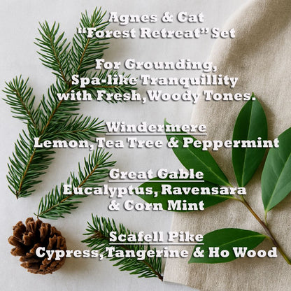 Forest Redelight Essential Oil Blends – Set of 3, set de aceites esenciales con notas cítricas y amaderadas, con pino, hojas y piña