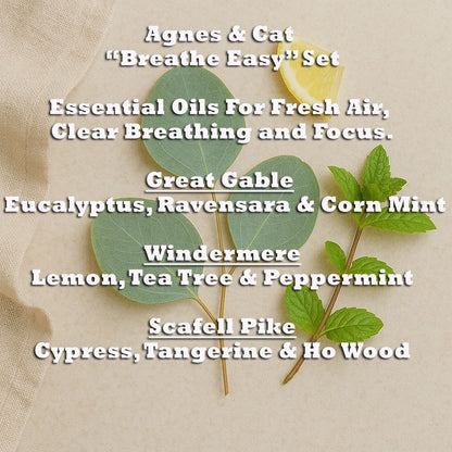 Alt Tag: Agnes & Cat – Breathe Easy Set med 3 blandningar av eteriska oljor med tre blandningsnamn och botaniska blad i bakgrunden