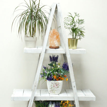 Albasia-trä A-ram-display – vitlaserat vitlaserat A-ram-hyllställ med växter, dekorationslampa och blomsterarrangemang
