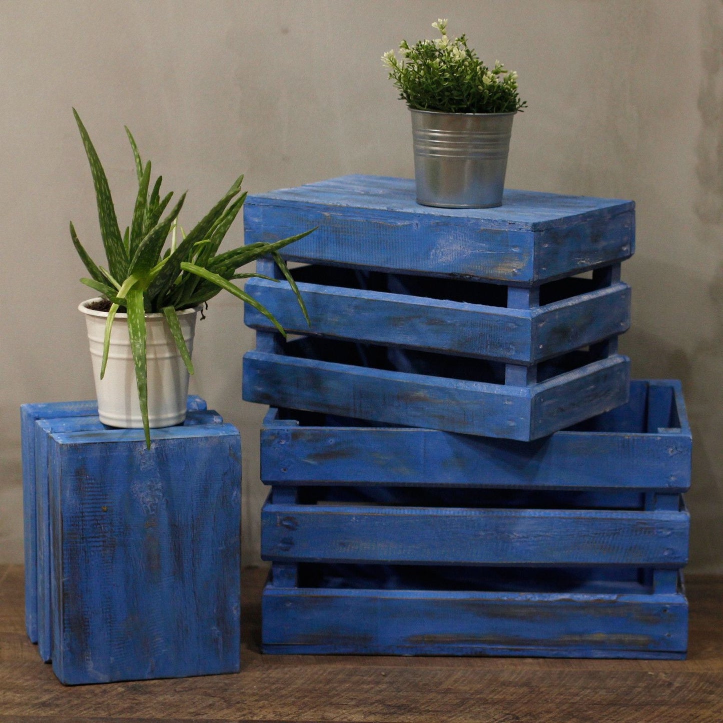 Alt Tag: Albasia Wood Display Boxes – Set of 3 Bluewash stacked bluewashed wooden display boxes with potted plants on top