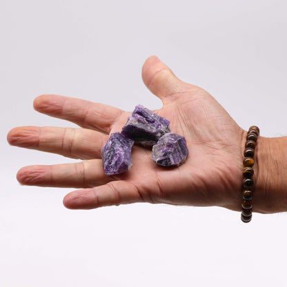 Alt Tag: Amethyst Gemstone – Raw Crystals 500GM, piedras de amatista en bruto color púrpura sobre la palma de una mano