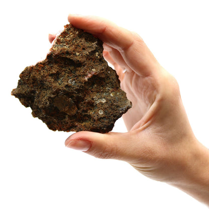 Amethyst Mineral Specimens – Approx. 20 Pieces, hand holding natural raw mineral specimen rock on white background