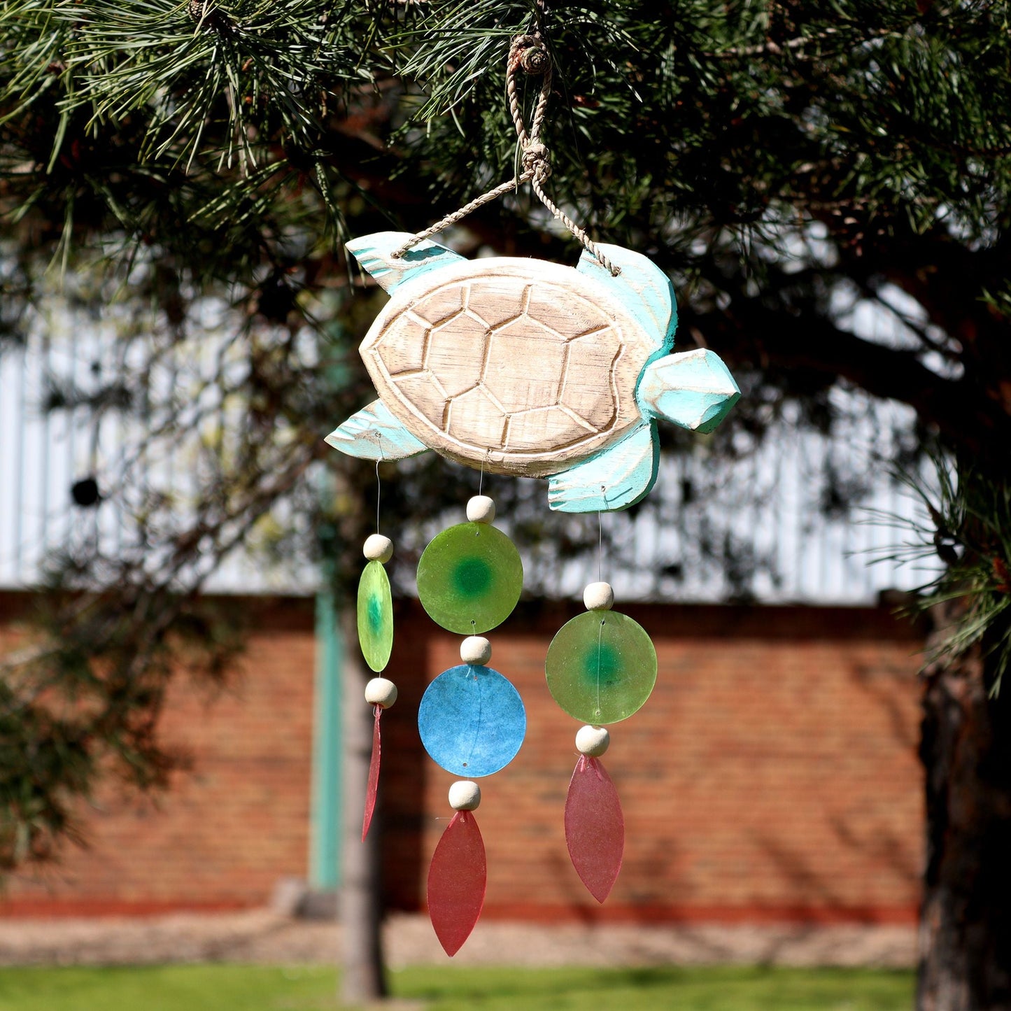Capiz Shell Driftwood Chime – 40x21 CM con tortuga tallada a mano y conchas capiz colgantes en colores, decoración costera