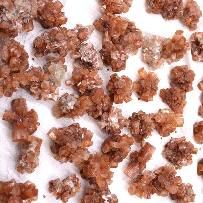 Aragonite Rare Mineral Specimens – 20 Pieces, cristales marrón rojizo con formaciones ramificadas de Marruecos sobre fondo blanco