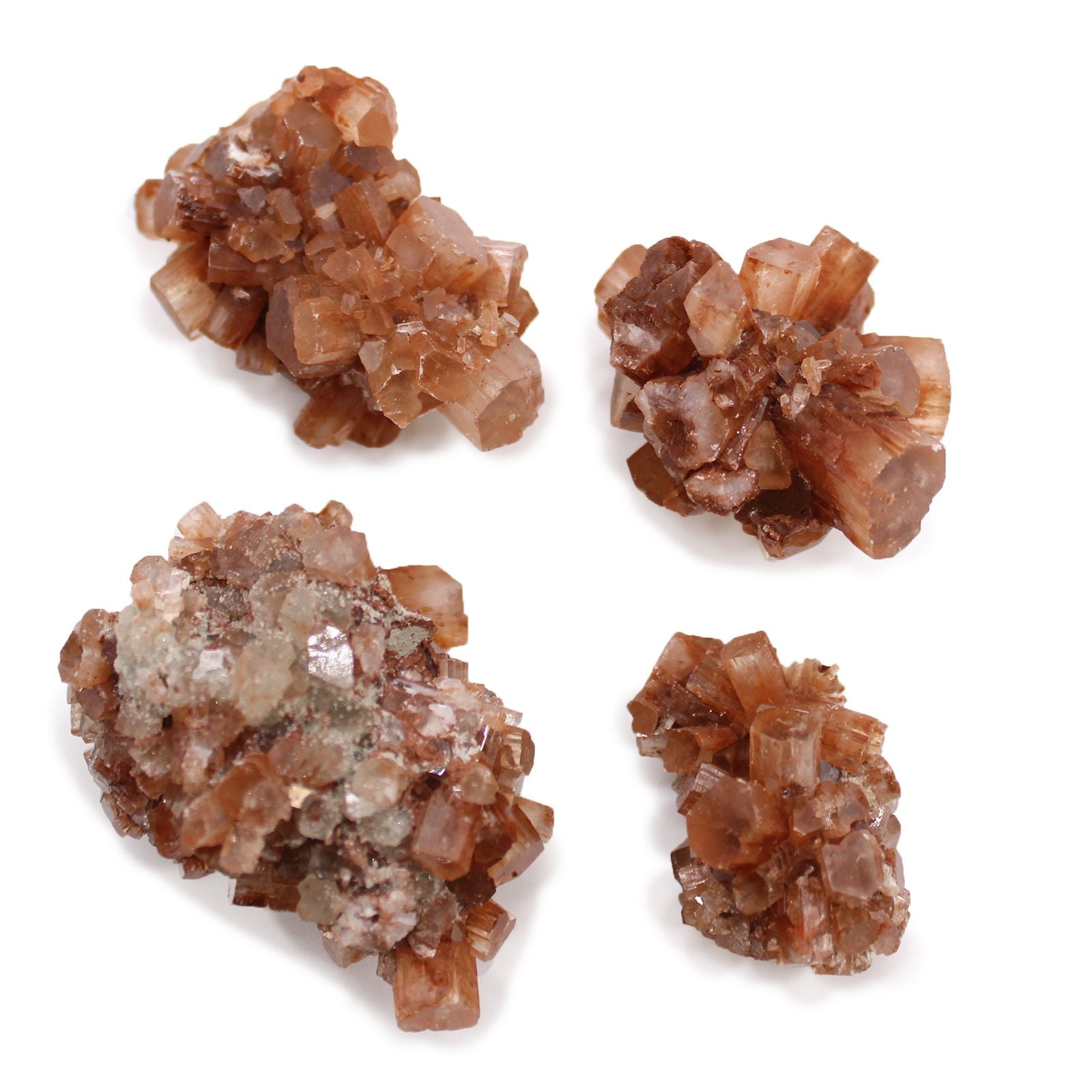 Alt Tag: Aragonite Rare Mineral Specimens – 20 Pieces, cristales marrones en racimos con formaciones ramificadas sobre fondo blanco