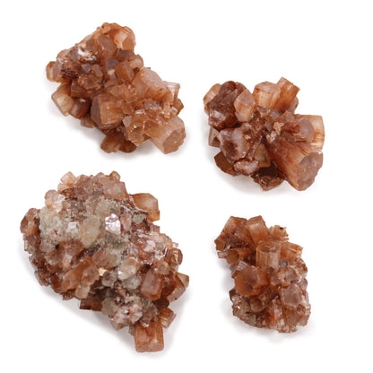 Alt Tag: Aragonite Rare Mineral Specimens – 20 Pieces, cristales marrones en racimos con formaciones ramificadas sobre fondo blanco