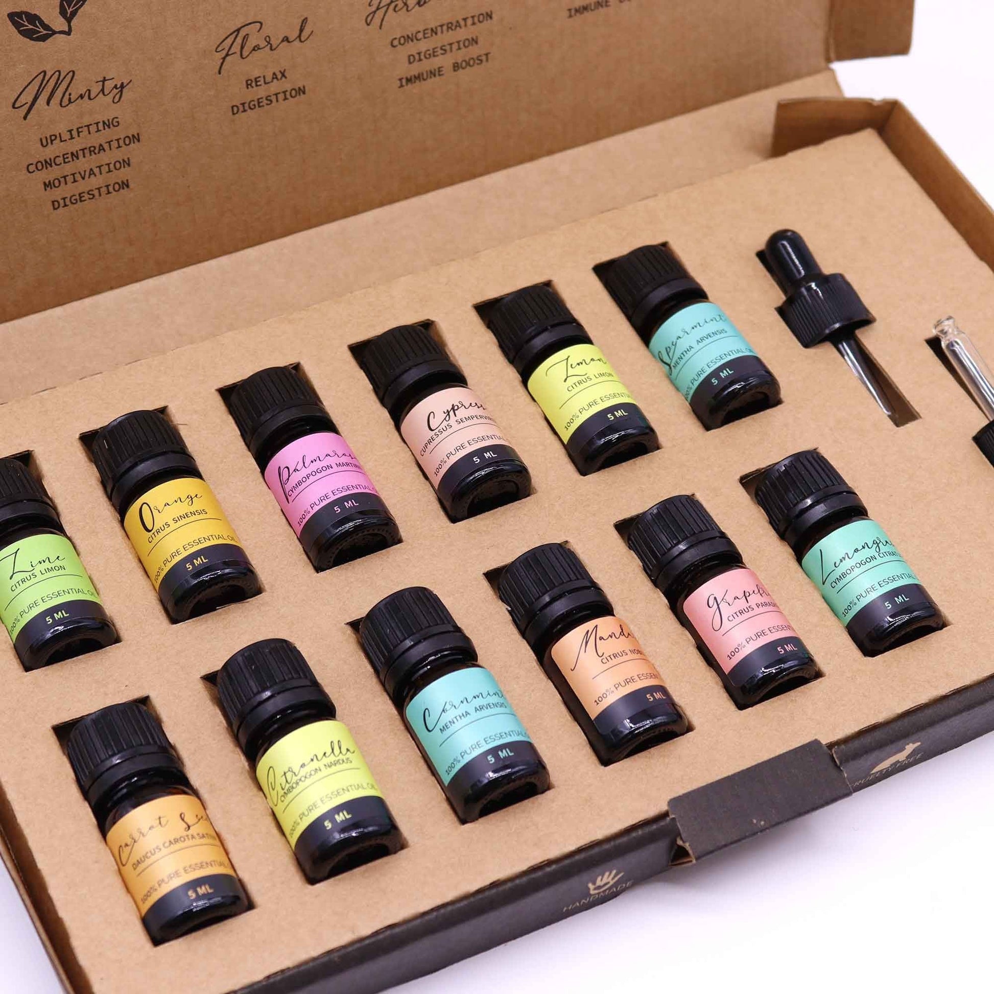 Alt-Tag: Aromaaroma Set ätherischer Öle – Summer (12 Oils Collection) 12 Mini-Fläschchen ätherischer Öle in einer Box, mit Tropfer