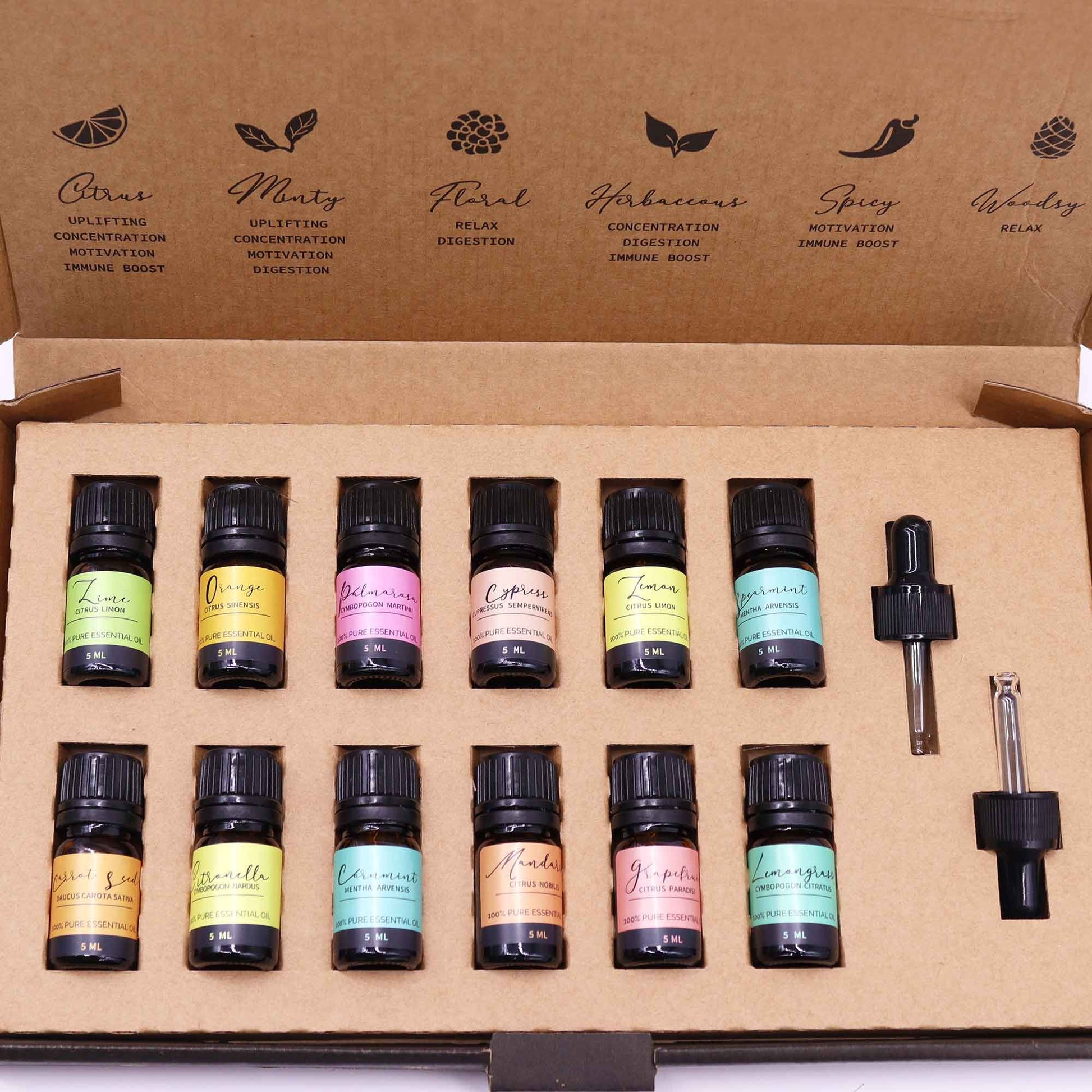 Alt-Tag: Aromaaroma Ätherische-Öle-Set – Summer (12 Oils Collection) in einer Box mit 12 Fläschchen ätherischer Öle und Pipetten