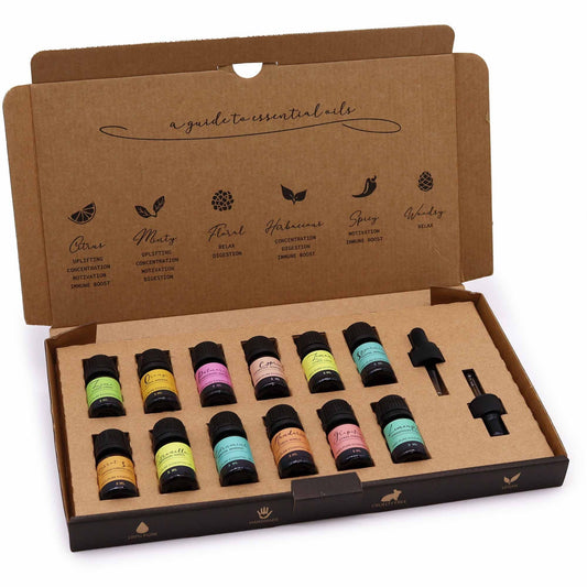 Aromaaroma Essential Oil Set – Summer (12 Oils Collection) caja abierta con 12 frascos de aceites esenciales y goteros