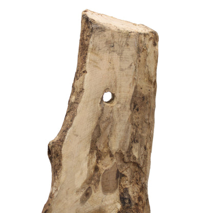 Molten Glass on Wood – Hanging Bowl