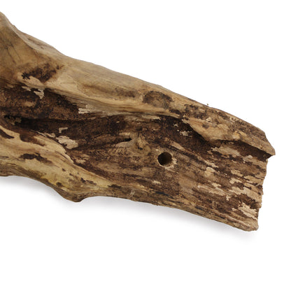 Molten Glass on Wood – Hanging Bowl