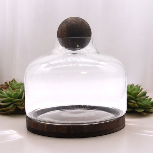 Extra large glass ball top terrarium on dark tung wood base, 23x23 cm, for plants and decorative displays