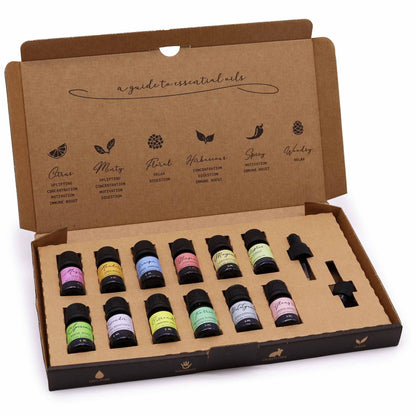 Aromatherapy Essential Oil Set – Spring (12 Oils Collection)