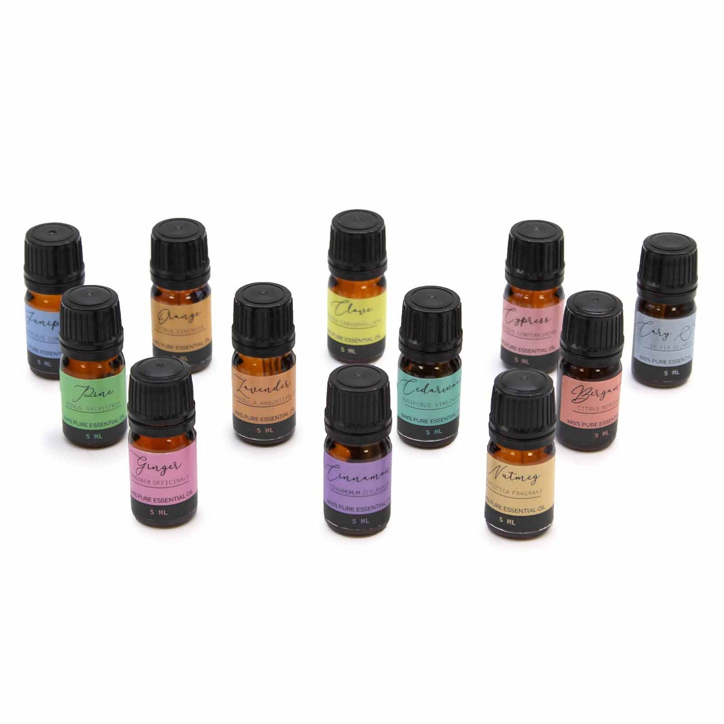 Aromatherapy Essential Oil Set – Autumn (12 Oils Collection)