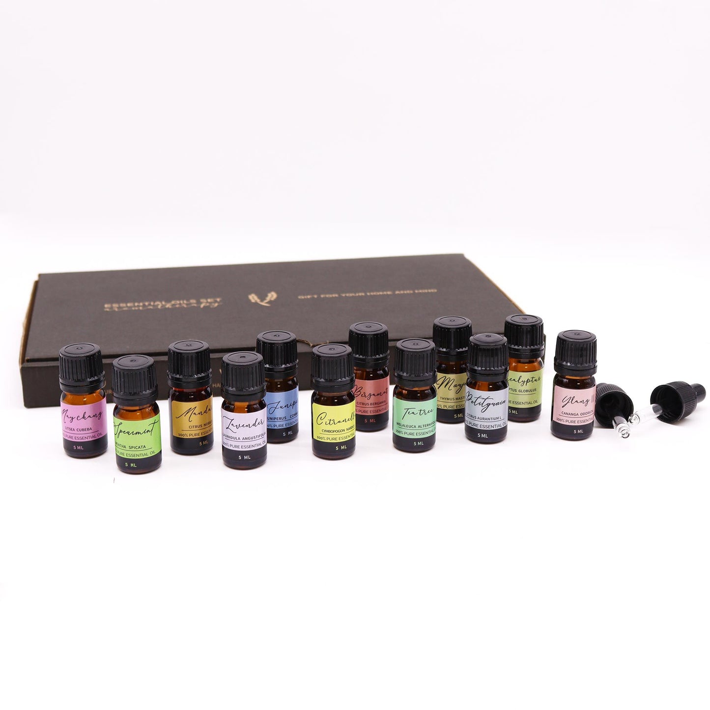 Aromatherapy Essential Oil Set – Spring (12 Oils Collection)