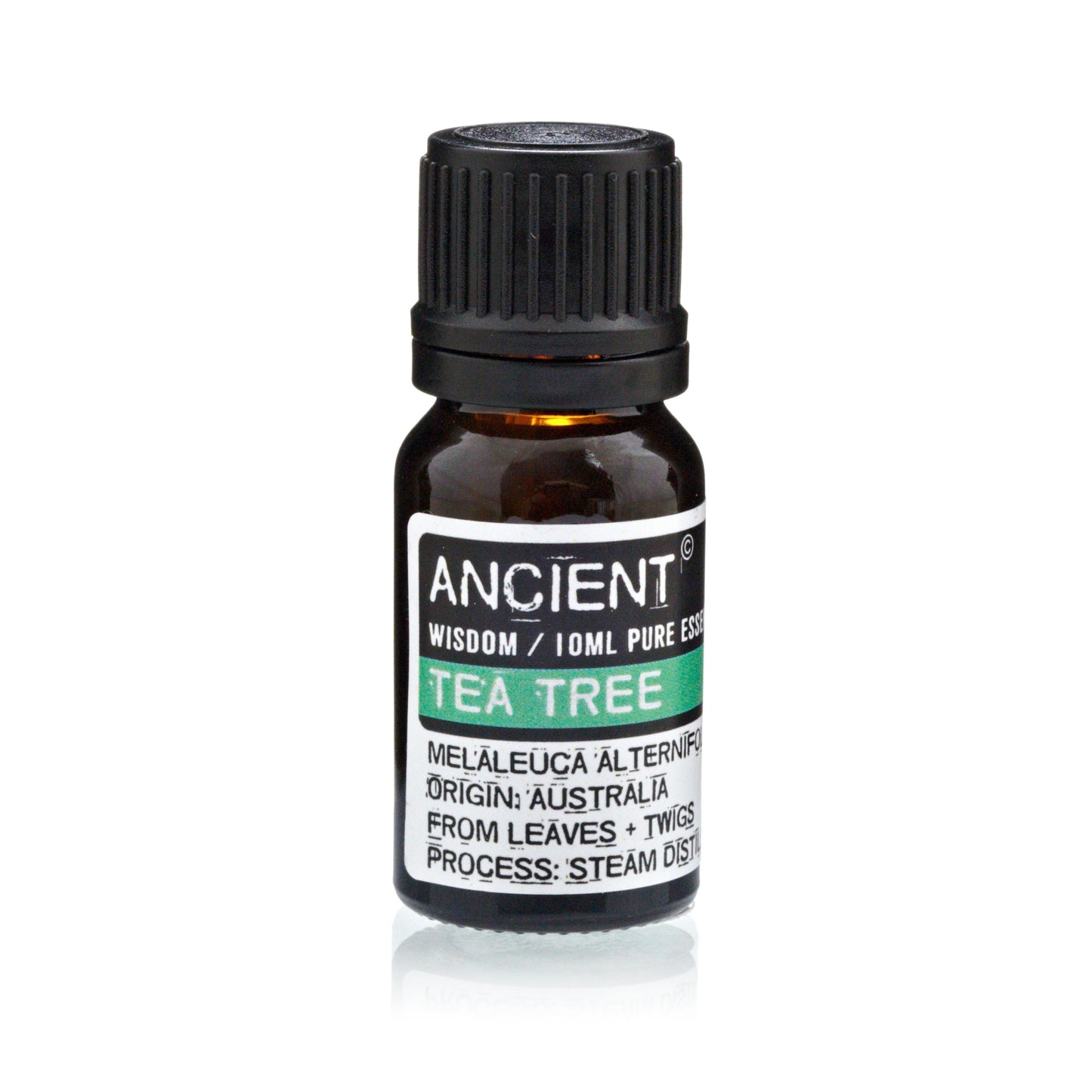 Set of Lavender, Tea Tree & Rosemary Essential Oils – 10 ML Each