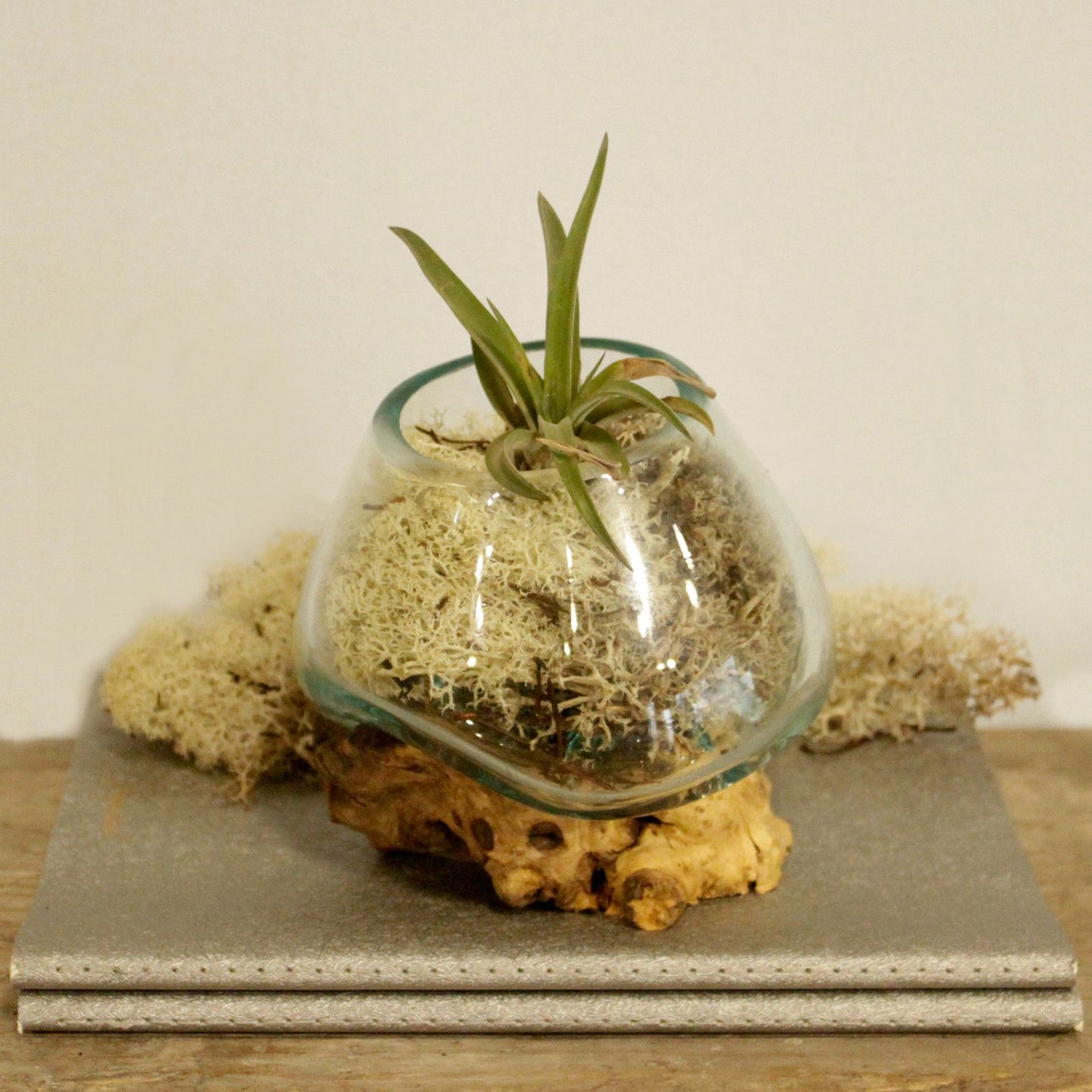 Molten Glass on Wood – Small Bowl