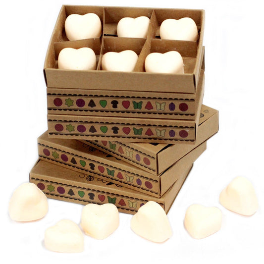 Cinnamon & Orange soy wax melts gift set box with 6 scented wax melts separated by cardboard dividers