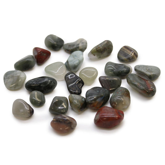 Set of 24 premium African bloodstone tumbled stones, polished green crystals with red speckles on a clean background