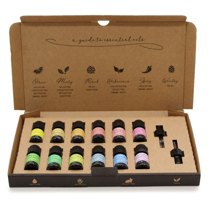 Aromatherapy Essential Oil Set – Starter Pack