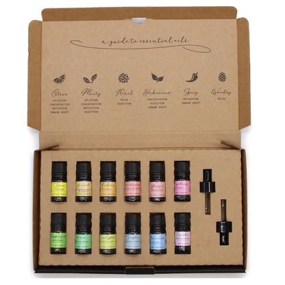 Aromatherapy Essential Oil Set – Starter Pack
