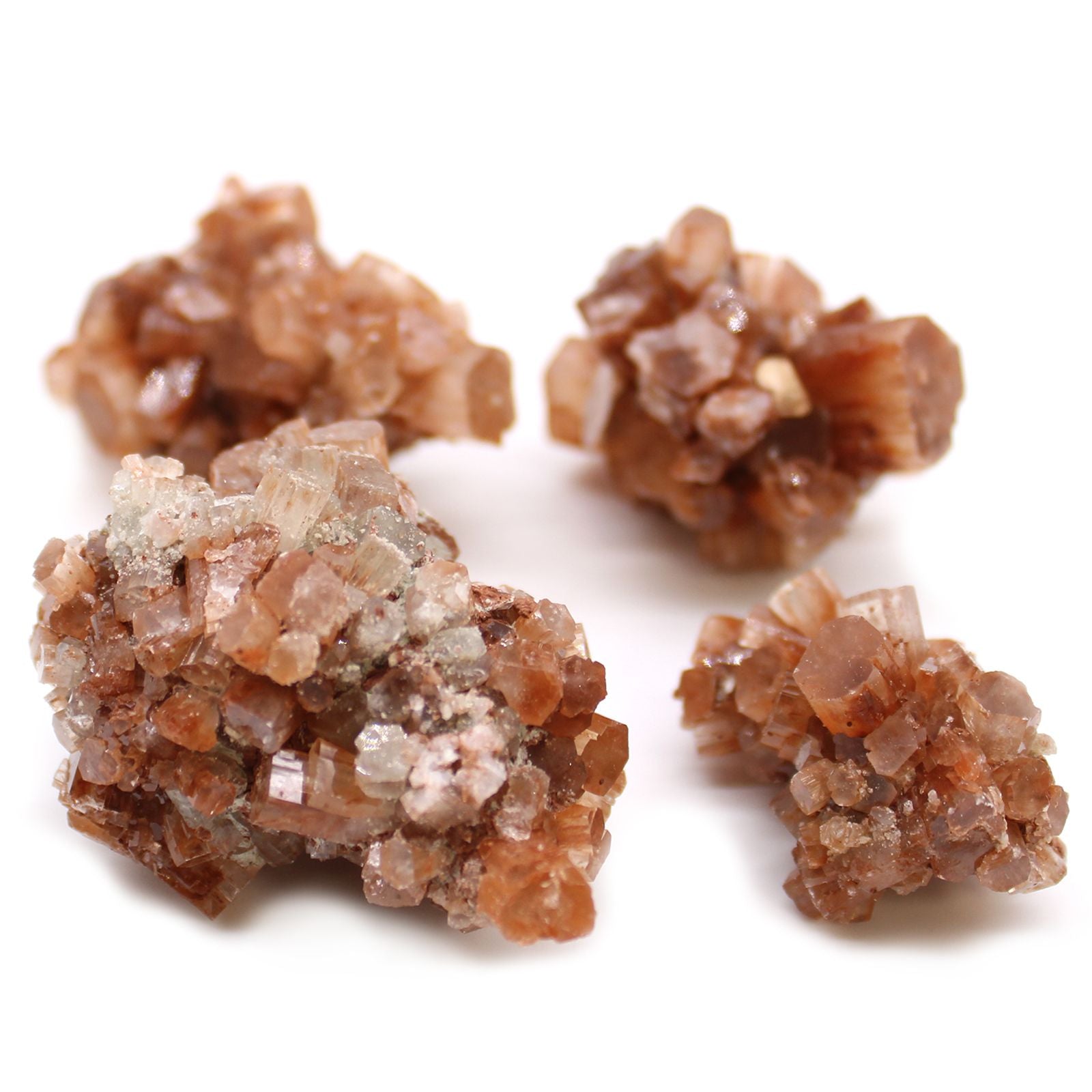 20 aragonite mineral specimens from Morocco with branch-like crystal formations in red-orange and straw yellow hues
