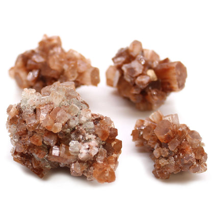 20 aragonite mineral specimens from Morocco with branch-like crystal formations in red-orange and straw yellow hues