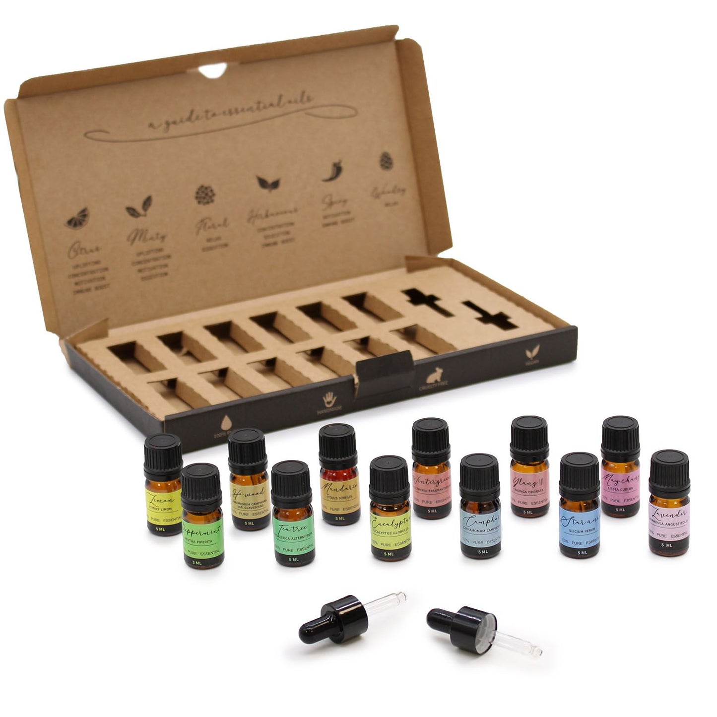 Aromatherapy Essential Oil Set – Starter Pack
