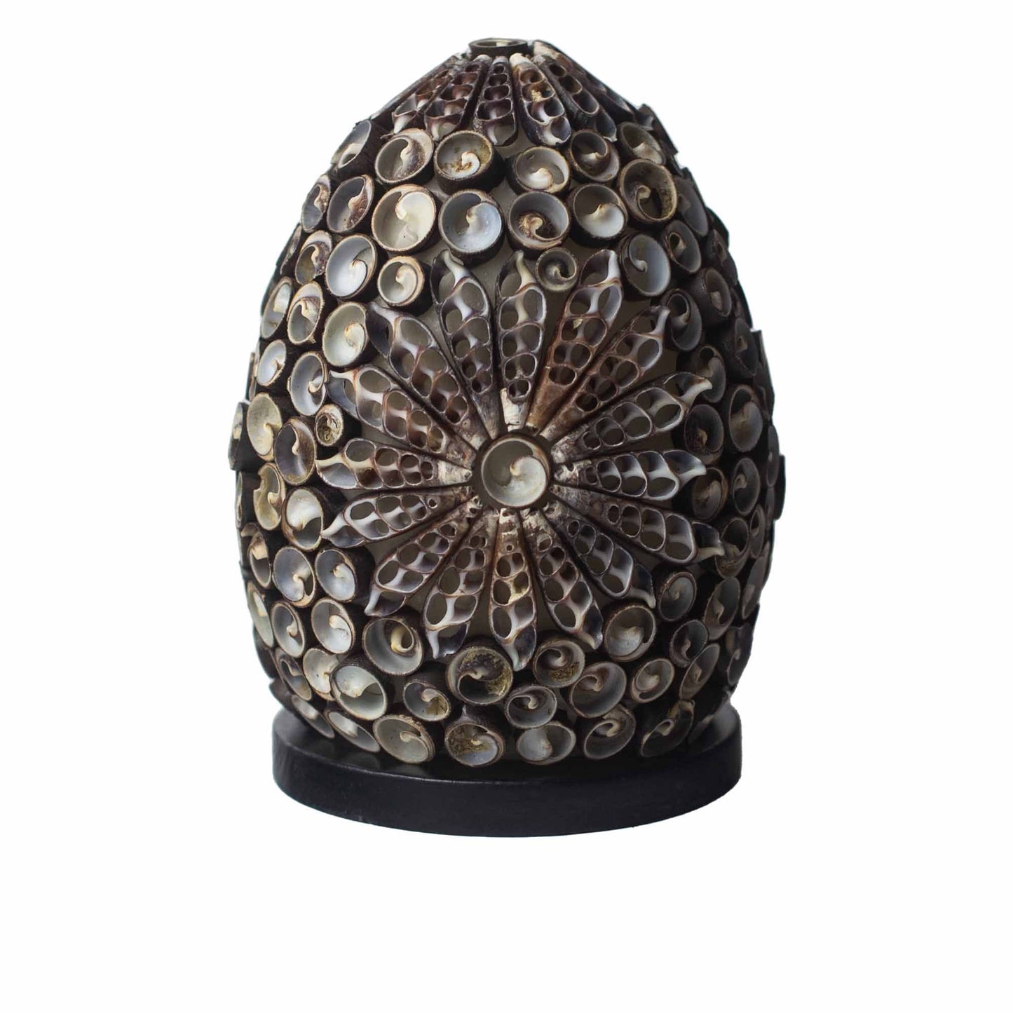Bali Chocolate Twist Muschel-Lampe – 15 CM oval, ovale Lampe aus echten Muscheln im Boho-Design in Schokoton