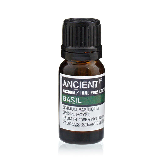 Alt-Tag: Basilikum-Ätherisches Öl – 10-ML-Flasche mit reinem Basilikum-Ätherischem Öl, 10 ml Braunglas mit schwarzem Schraubverschluss, dampfdestilliert