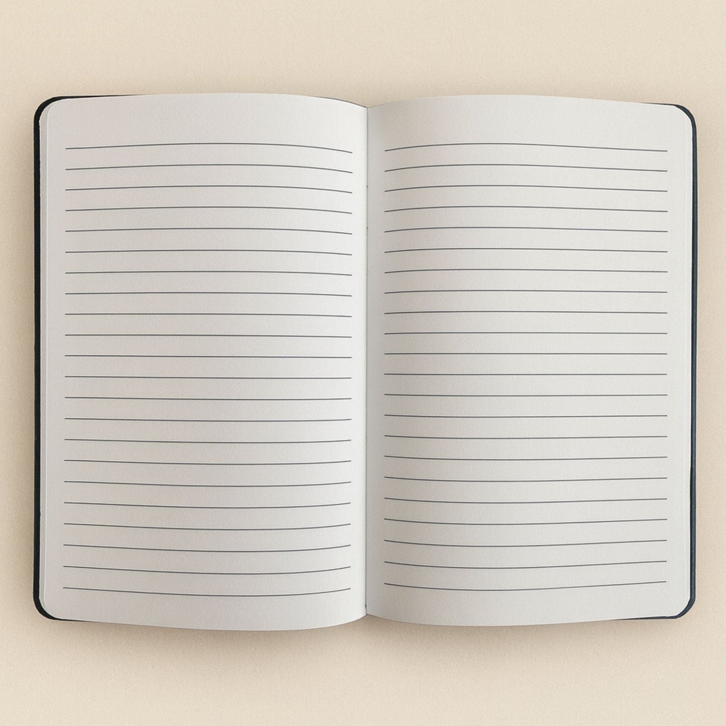 Black Velvet Notebook – 80 Pages Carpe Diem open notebook interior with lined pages for notes and journaling