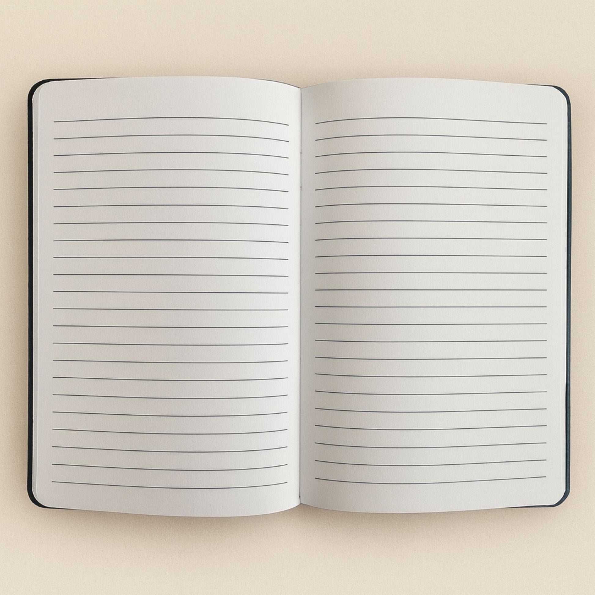 Black Velvet Notebook – 80 Pages Carpe Diem open notebook interior with lined pages for notes and journaling