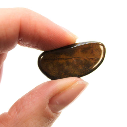 Blue Tiger's Eye Gemstone – 24 Small Tumbles polished small tumble stone held between fingers, natural blue-brown chatoyancy