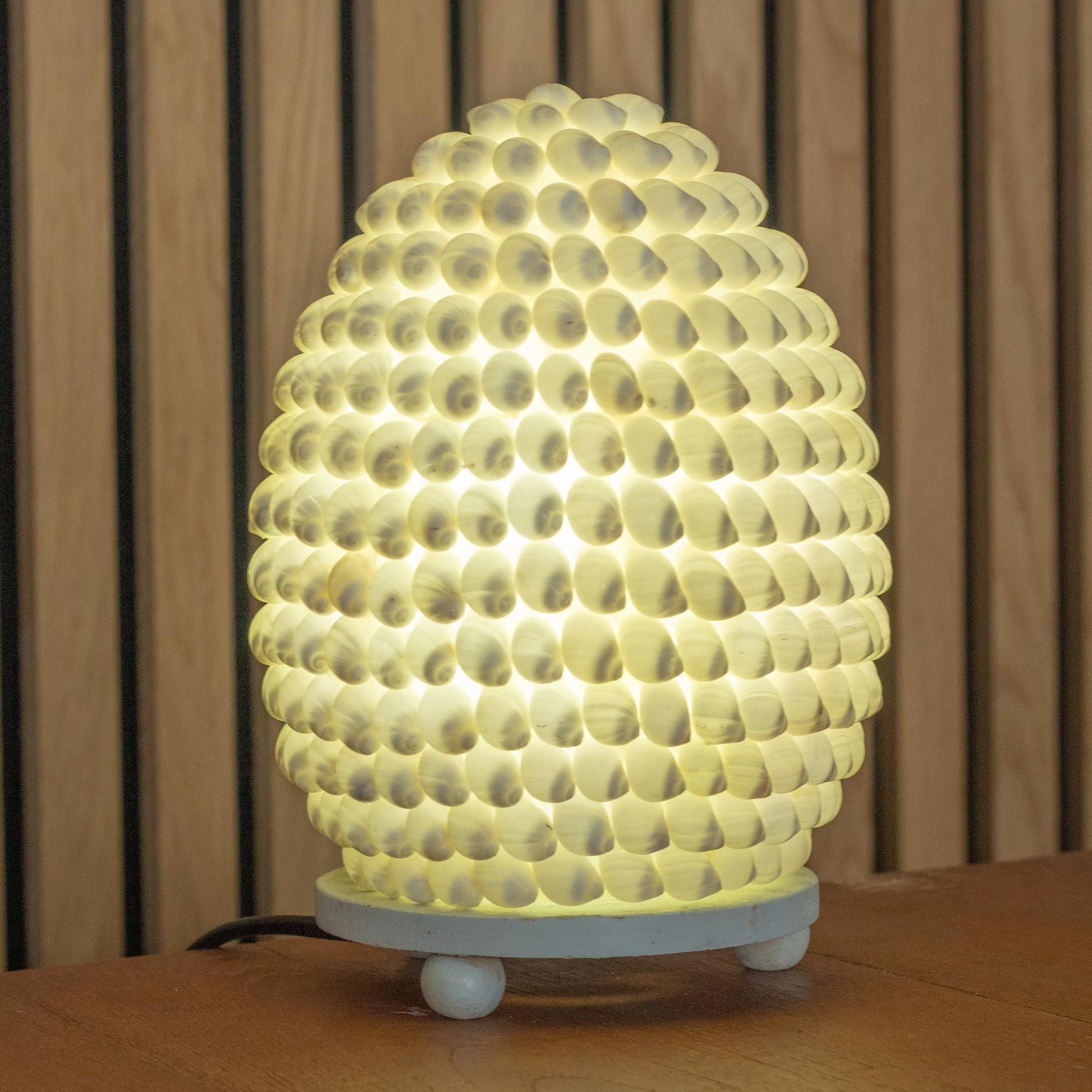 Buting Sea Shell Lamp – Oval 15CM lámpara decorativa con conchas marinas ovalada, luz cálida sobre base blanca