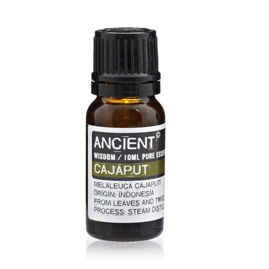 Alt-Tag: Ätherisches Cajeputöl – 10-ML-Bernstein-Glasflasche mit schwarzem Deckel, dampfdestilliertes ätherisches Melaleuca-cajuputi-Öl aus Indonesien