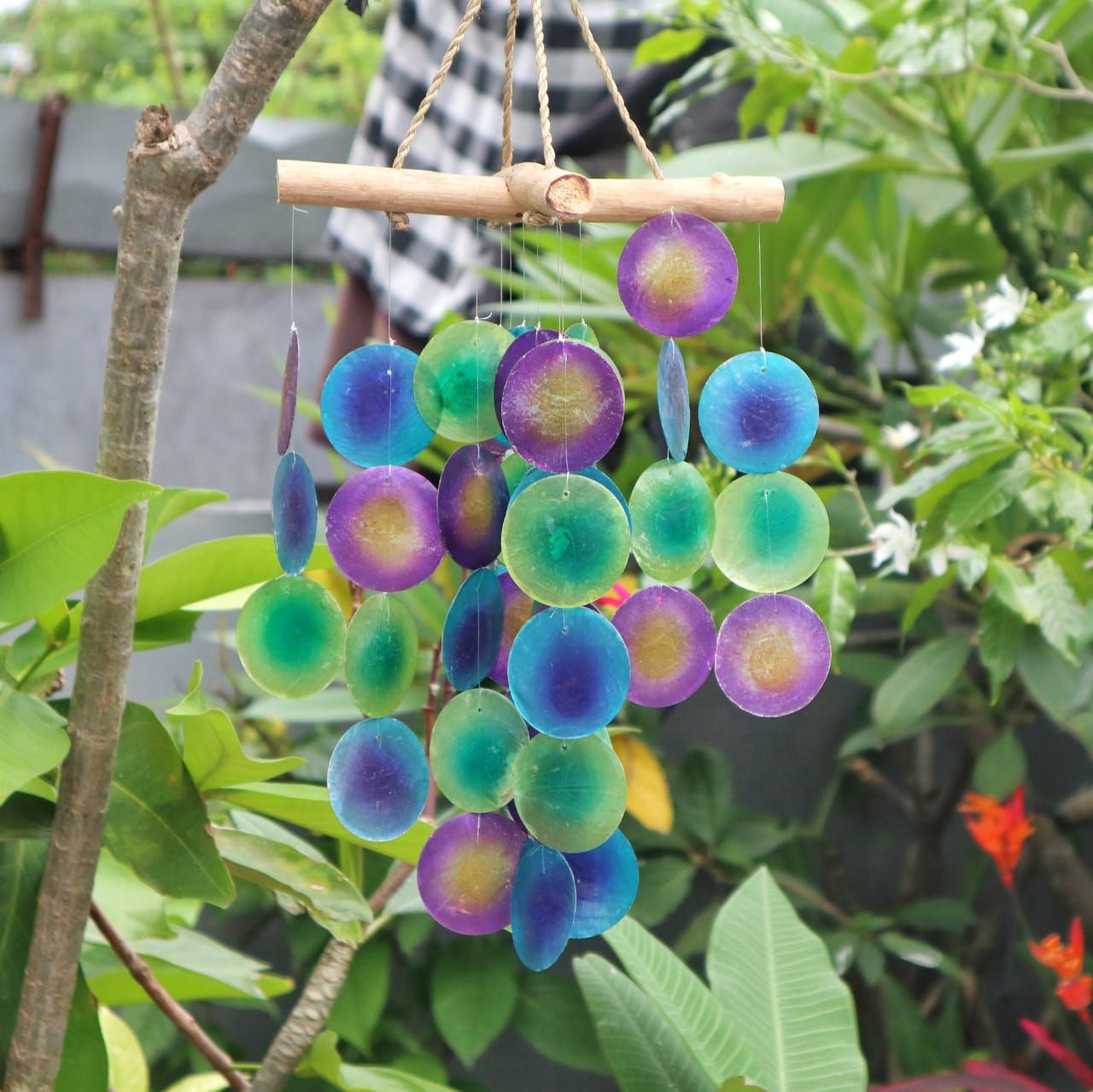 Capiz Glass Driftwood Chime – 20x45 CM hanging outdoor wind chime with colorful capiz glass discs and natural driftwood