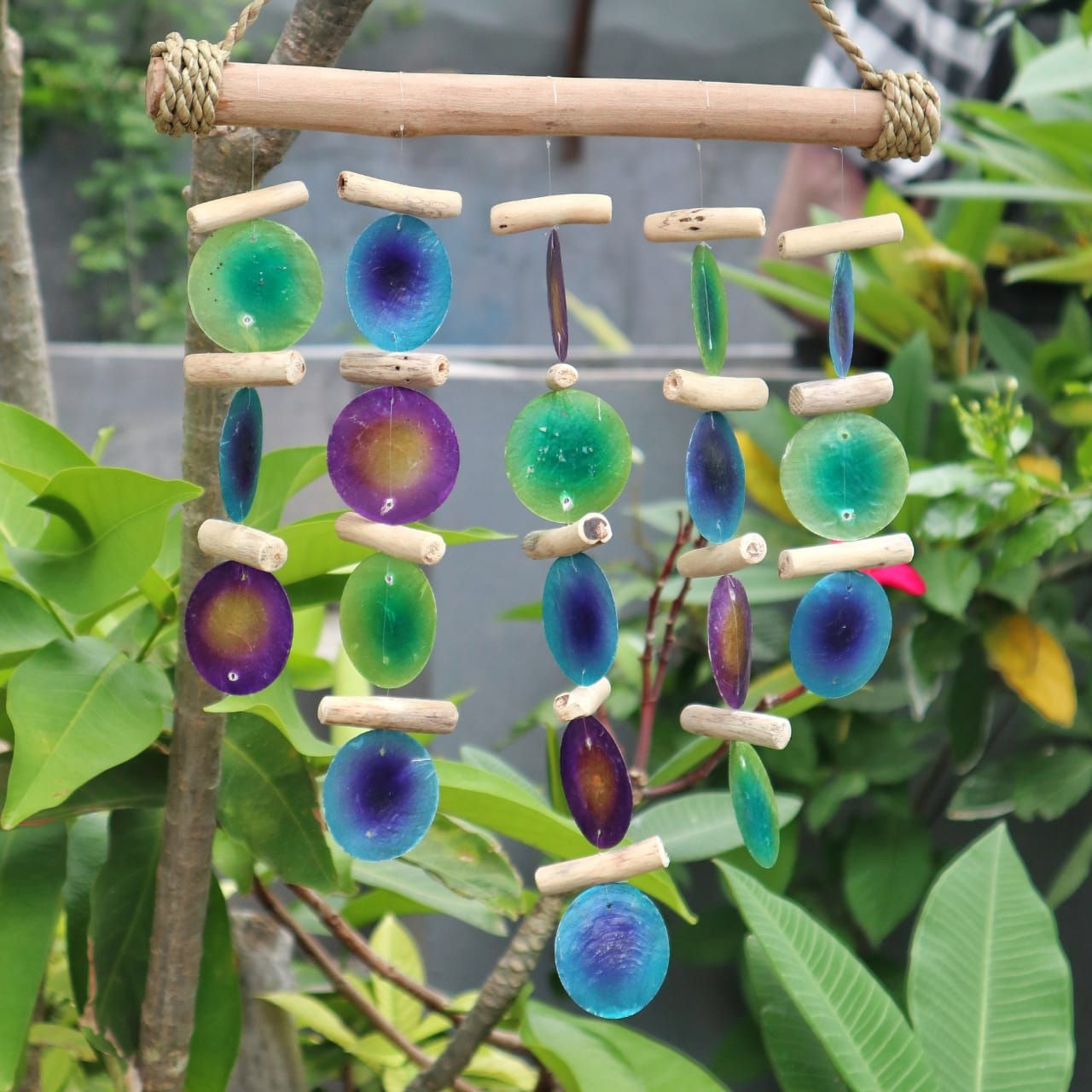 Alt-Tag: Capiz Shell Driftwood Chime – 32x25 CM mit mehrfarbigen Capiz-Scheiben und Treibholzstücken, die im Außenbereich hängen