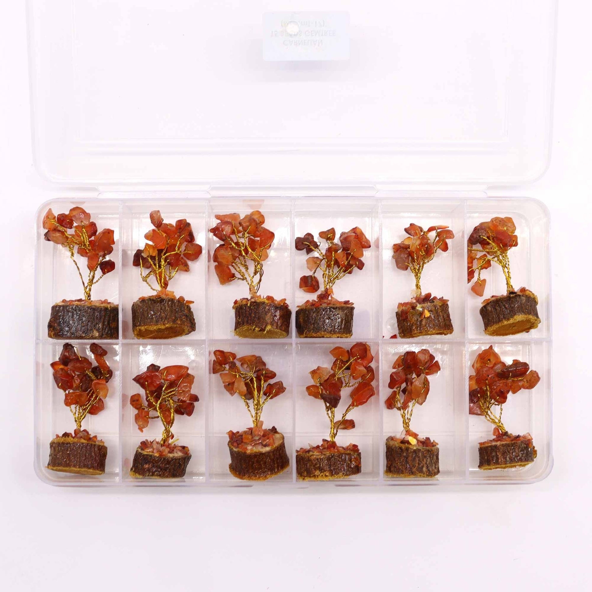 Carnelian Mini Gemstone Tree – 6 CM, 15 Stones, mini carnelian gemstone trees set in a clear storage box